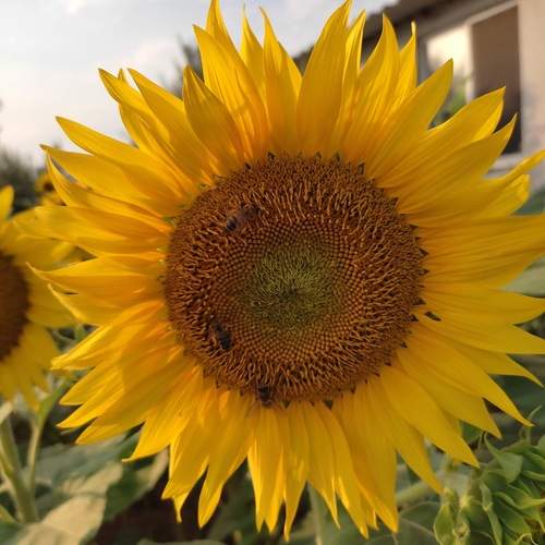 Photo #12407925