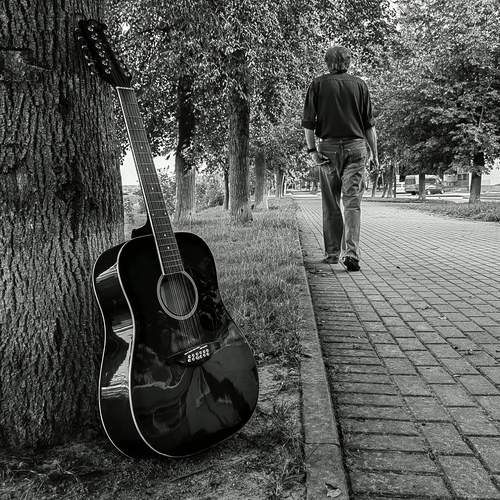 Photo #12408061
