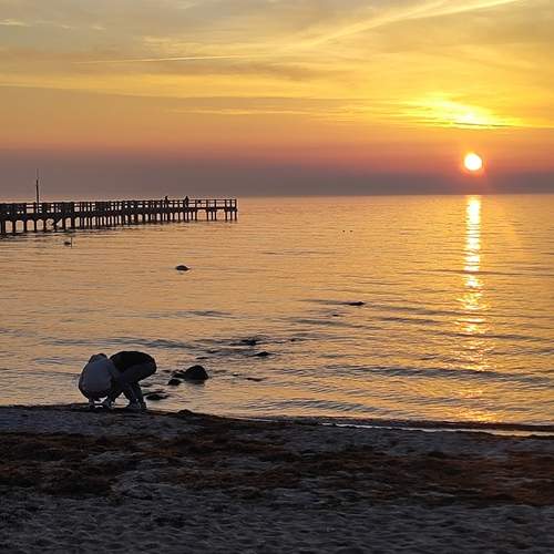 Photo #12408085