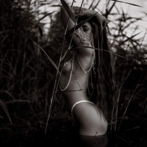 Photo #12408293