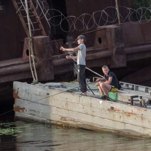 Photo #12408620