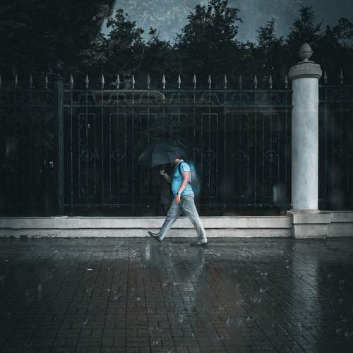 Photo #12408621