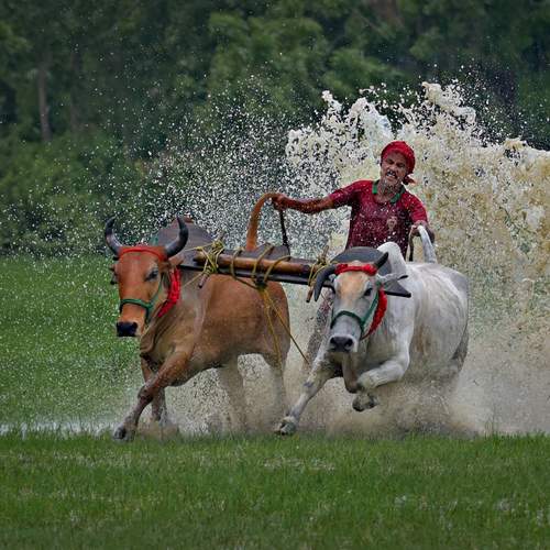 Photo #12408636