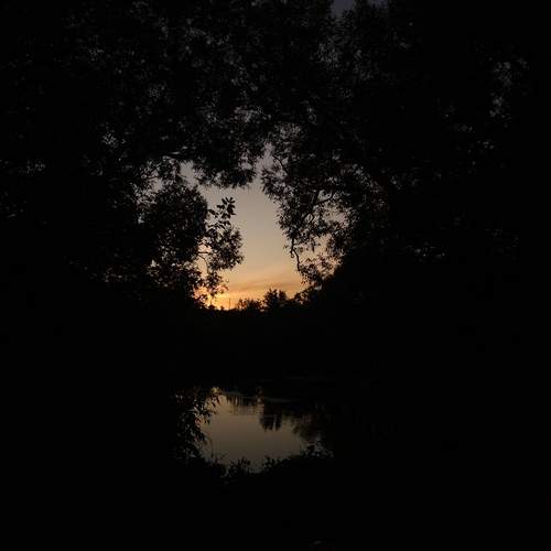 Photo #12408748