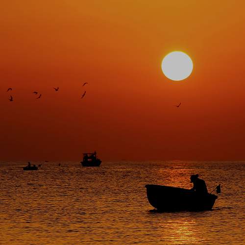Photo #12408775