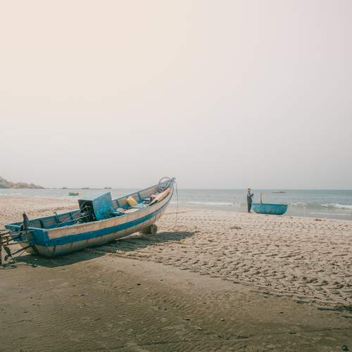 Photo #12408795