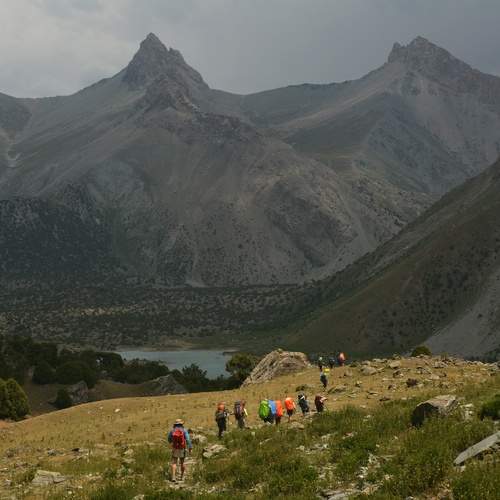 Photo #12409247