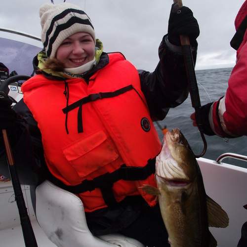 Photo #12409444