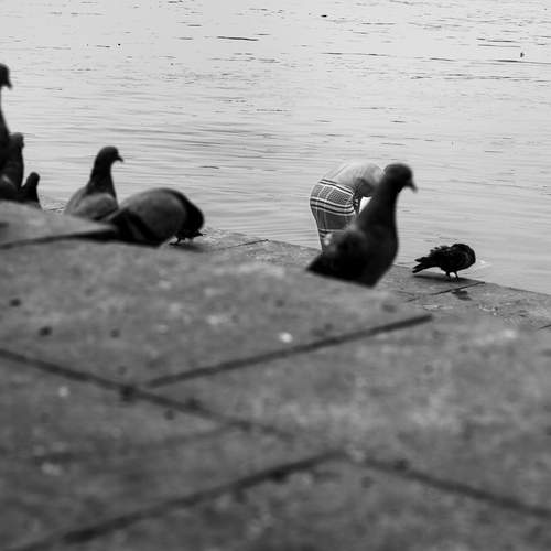 Photo #12409742