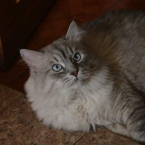 Photo #12409766