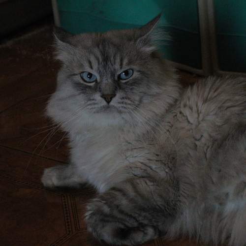 Photo #12409780
