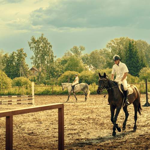 Photo #12409788