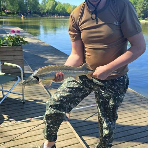 Photo #12410126
