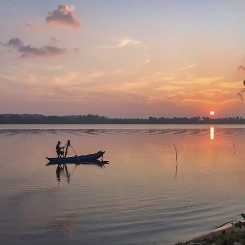 Photo #12410268