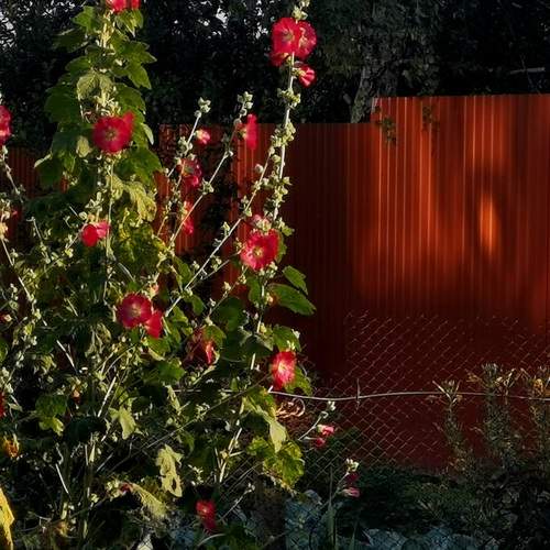 Photo #12410546
