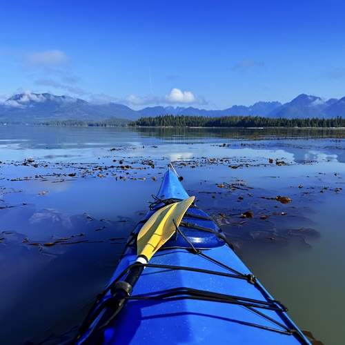 Photo #12410729