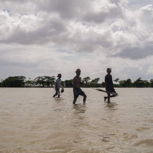 Photo #12410828