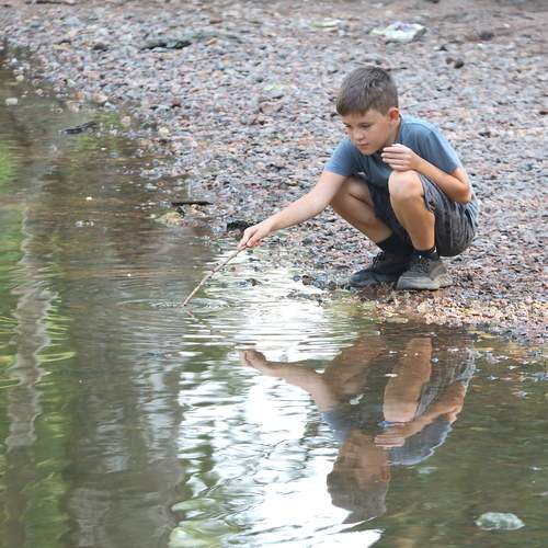 Photo #12410924