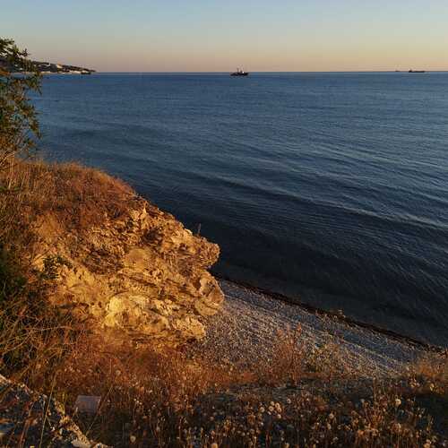 Photo #12411032
