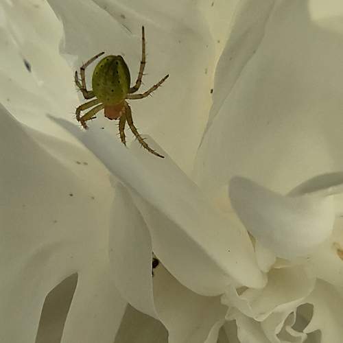 Photo #12411056
