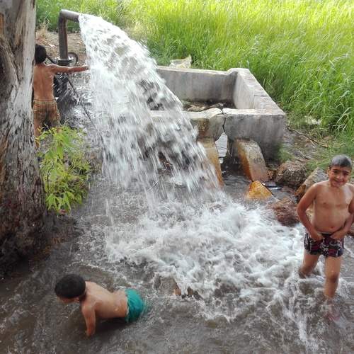 Photo #12411062