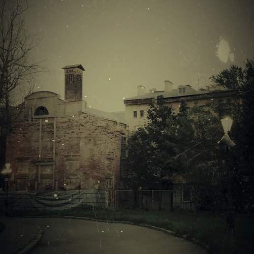 Photo #12411135