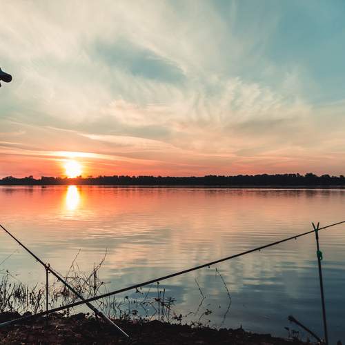 Фотография #12411208