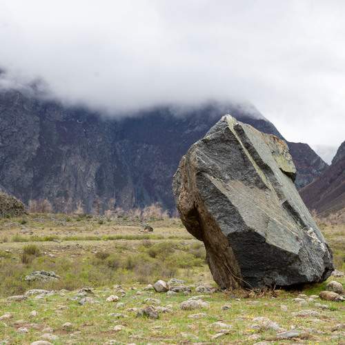 Photo #12411398