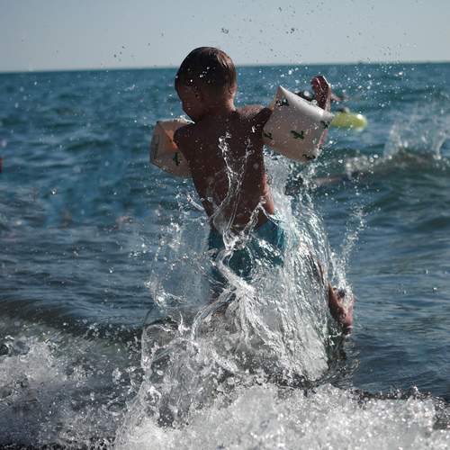 Photo #12411522