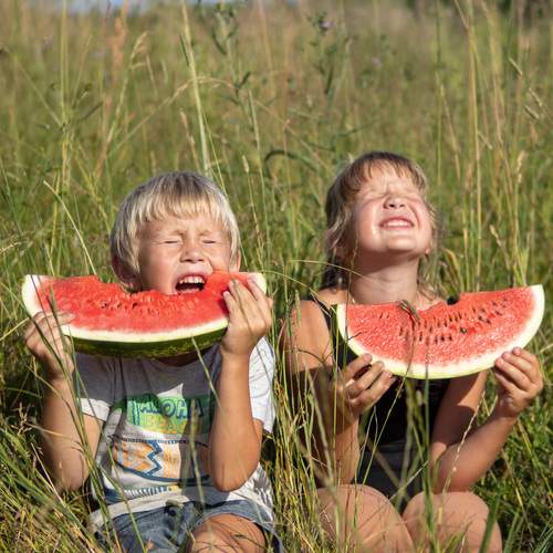 Photo #12411671