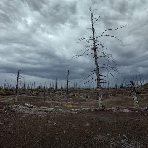 Photo #12411705