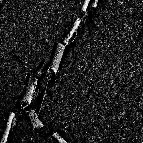 Photo #12411918