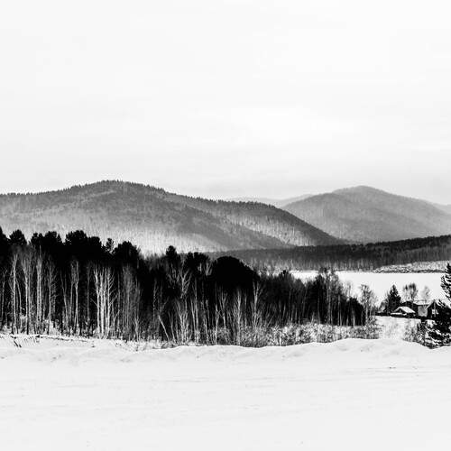 Photo #12411919