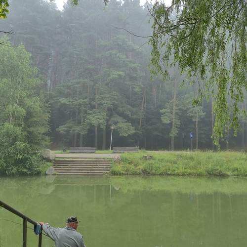 Photo #12412193