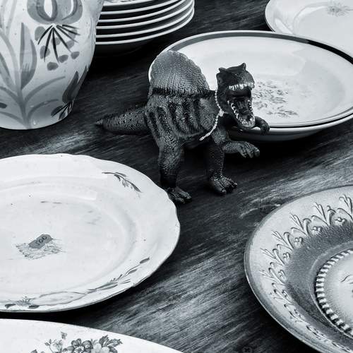 Photo #12412226