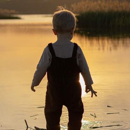 Photo #12412248