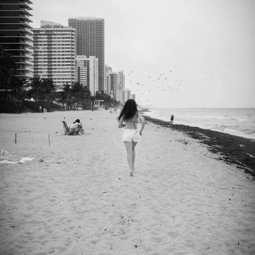 Photo #12412332
