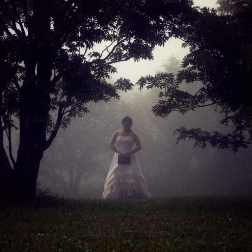 Photo #12412377