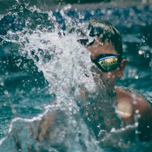 Photo #12412419