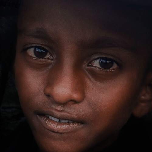 Photo #12412436