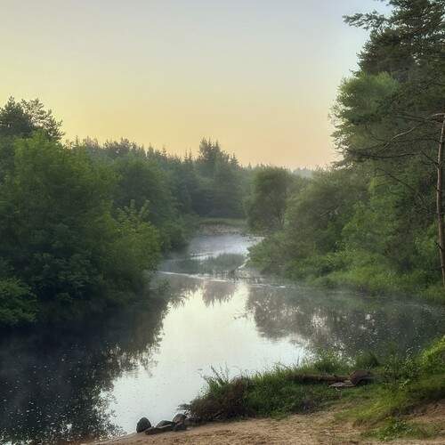 Photo #12412448