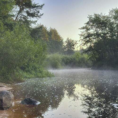 Photo #12412451