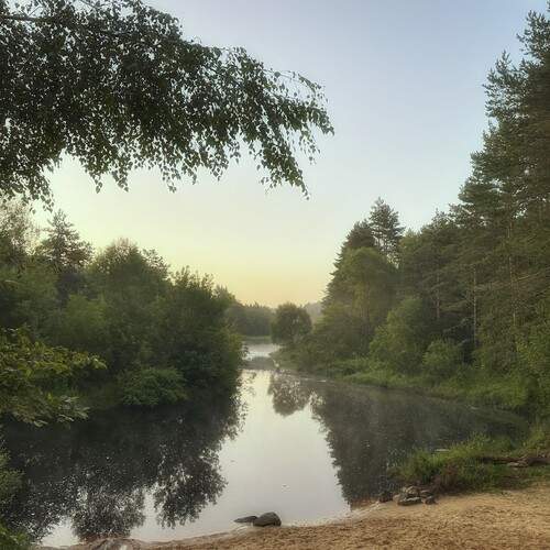 Photo #12412453
