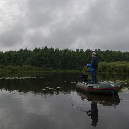Photo #12412538