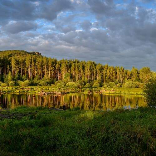 Photo #12412601