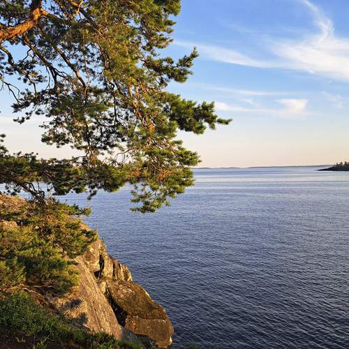 Photo #12412809