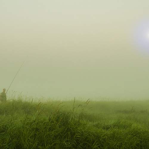 Photo #12412955