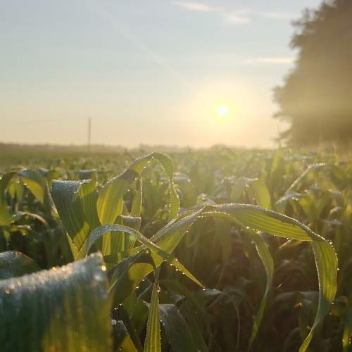 Photo #12413097