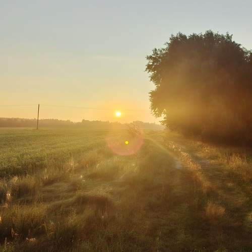 Photo #12413099