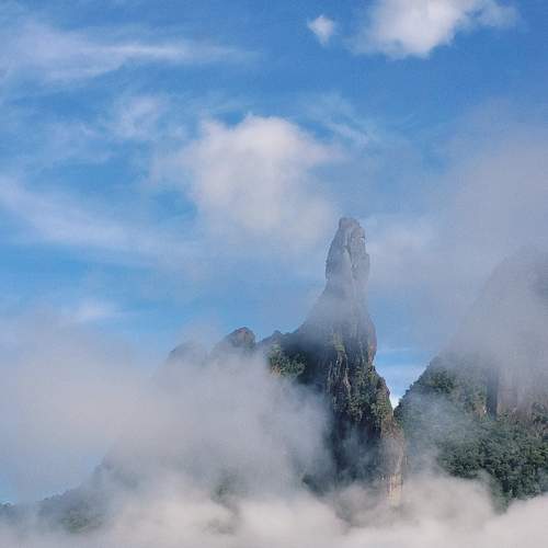Photo #12413354